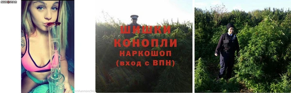каннабис Абаза