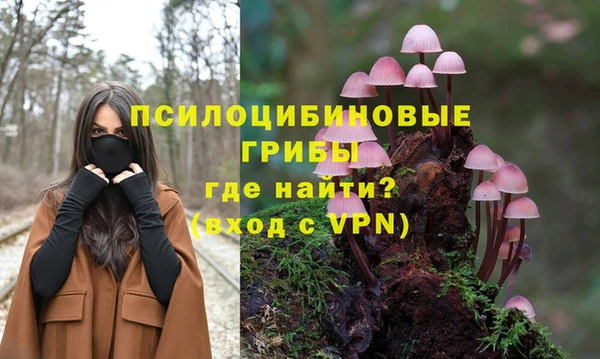 хмурый Алексеевка