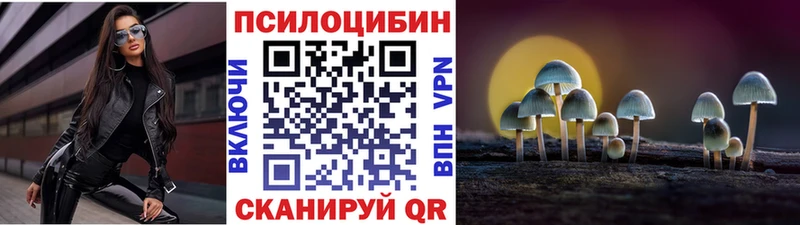 Псилоцибиновые грибы GOLDEN TEACHER  Судогда 